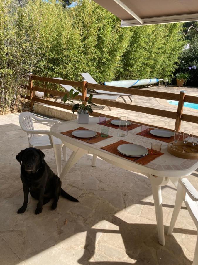 Apartment Superbe T2 Dans Entre Calanques Et Colline Marseilles