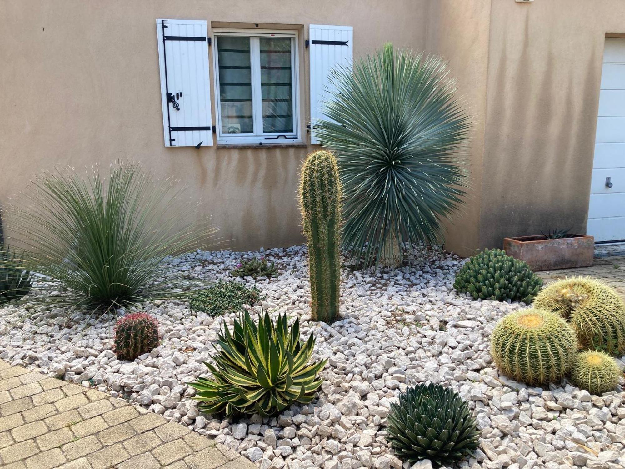 Superbe T2 Dans Entre Calanques Et Colline Apartment *